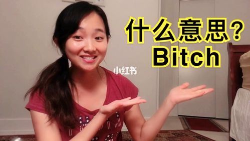 bitch是什么意思？betch-图2