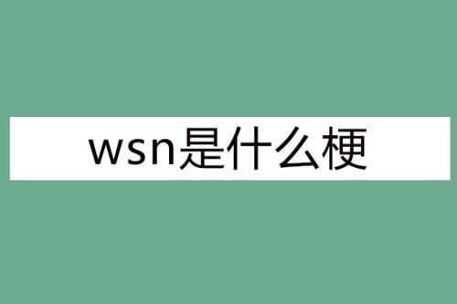 WSN是什么意思？wsn是什么意思