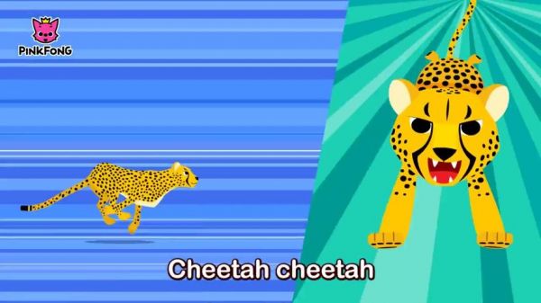 猎豹英文怎么说？不是要音标？cheeta