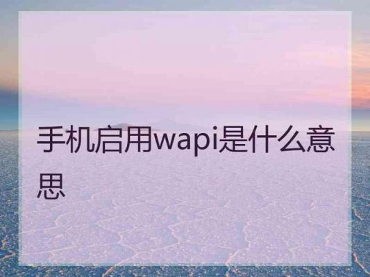 手机里的wapi是什么功能？wapi什么意思-图2