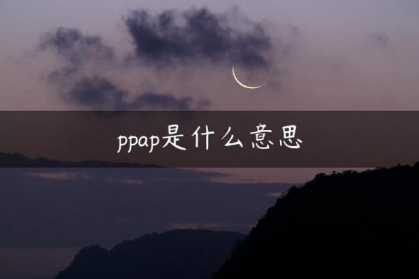 ppap是什么意思？ppap是什么意思