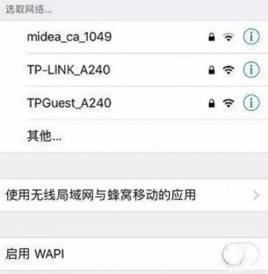 WAPI是什么？wapi是什么-图2