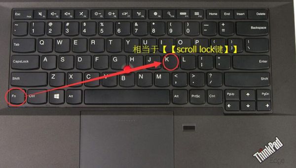 戴尔笔记本触控滚动条（戴尔笔记本滚动锁定键在哪）-图3