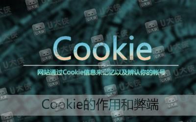 跟踪Cookie是什么意思，怎么每次全盘扫描都会有？cookie什么意思