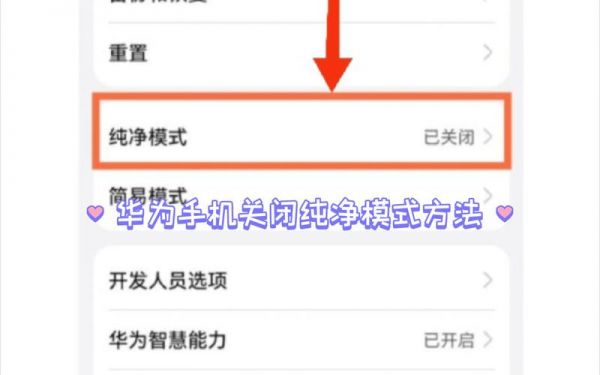 手机怎么关闭纯净模式？纯净模式怎么关闭-图2