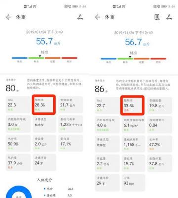 华为体脂秤怎么查看以前数据？华为体脂秤app-图2