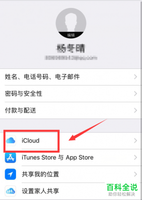 苹果设置中icloud是什么？icloud是什么-图3