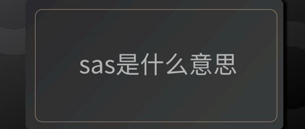 SAS是什么意思啊？sas是什么意思