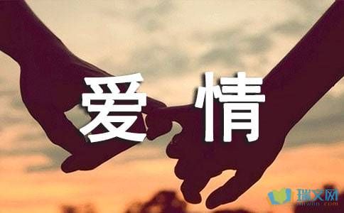 300代表爱情什么意思？300-图2