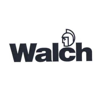 walch的英语读法和意思？walch-图1