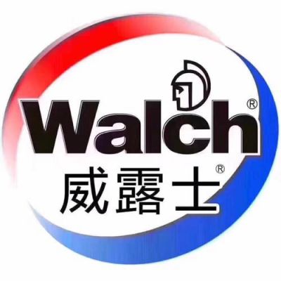 walch的英语读法和意思？walch-图3