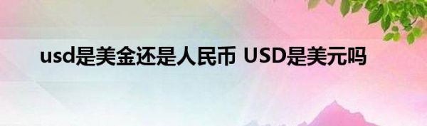 UsD是什么意思？usd是什么