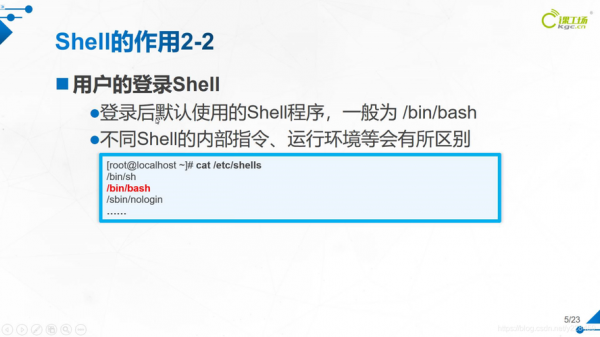 为什么我的shell脚本颜色不变？shell 没有权限-图2
