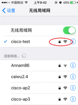 苹果手机为什么用不了路由器的5g？iphone权限wifi-图3