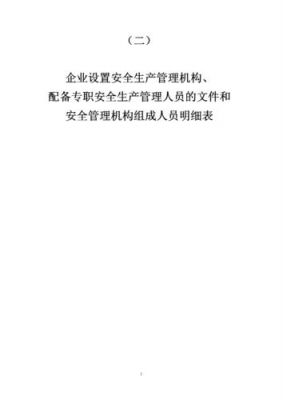 从业人员多少人以上的高危生产经营单位设安全总监？高危权限管理-图2