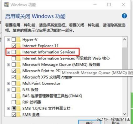 win10账户信息没有其他用户选项？iis user 权限-图3