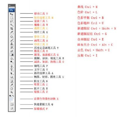 ps2020内容识别填充怎么用？ps内容识别快捷键-图3