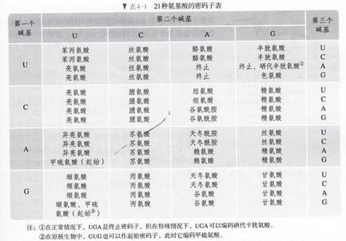 gug密码子为什么对应两个氨基酸？gug