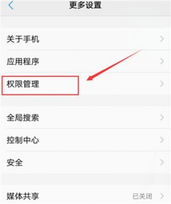 蓝牙应用权限怎么设置？vivo怎么开启快手权限-图3