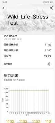 关于vivoy55跑分的信息-图1