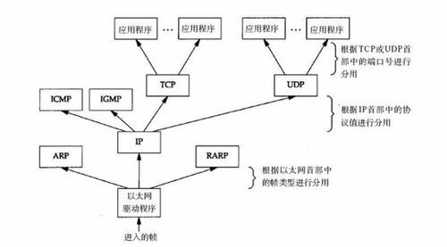 以太网上的传输协议是（以太网中传输的数据包叫什么）-图3