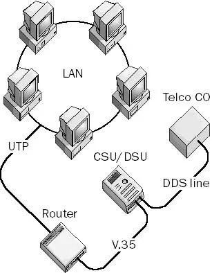 ddn是传输网（ddn是什么）-图1