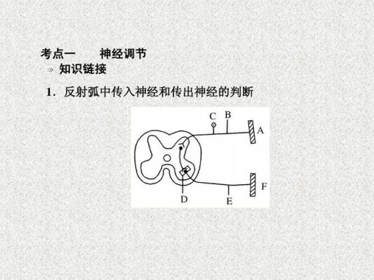 传输下反射（传输反射法）