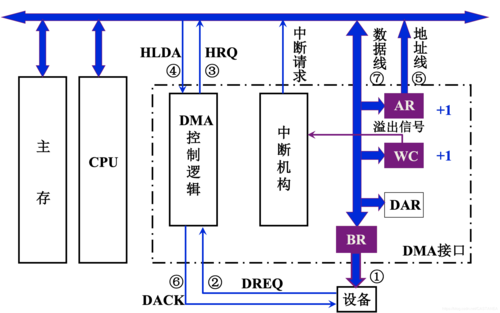 dma传输的具体过程（dma传输方式特点）