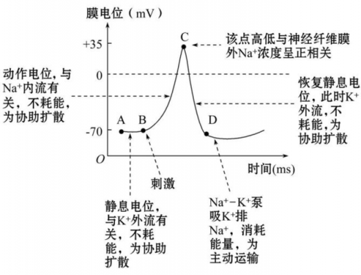 传输反射（反射传参数）-图2