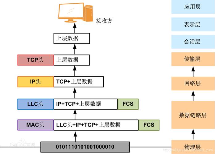 针对不同的传输介质（针对不同的传输介质,以太网有不同的数据接口层）