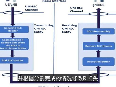 AM传输系统是什么（rlc am传输模式）