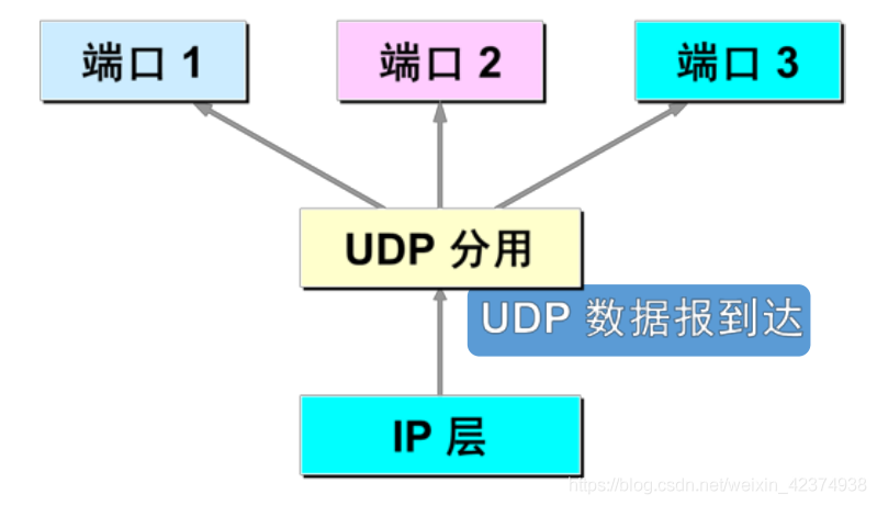 传输的类型（传输类型UDP）