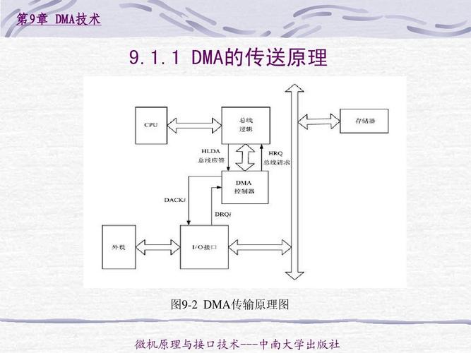 什么是dma传输（什么叫dma传输）