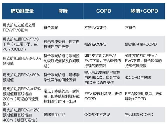 cdpd原始传输速率（dp12传输速率）-图1