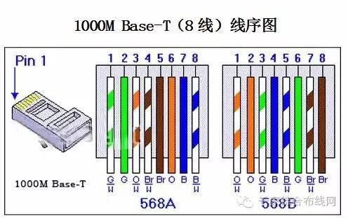 双绞线传输器线序（双绞线传输数据的线）-图1