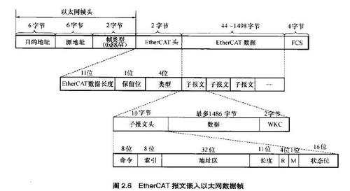 传输帧结构（传输层的数据称为帧frame）