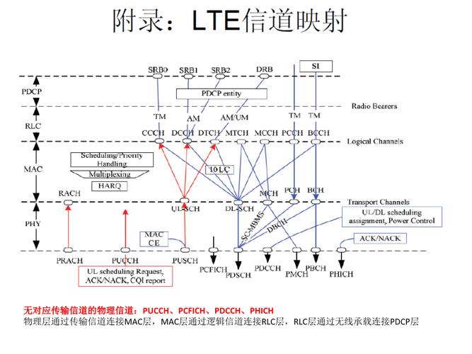 lteu传输速率（lte的传输信道）