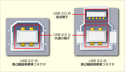 usb网络传输（usb网络传输是什么意思）-图3