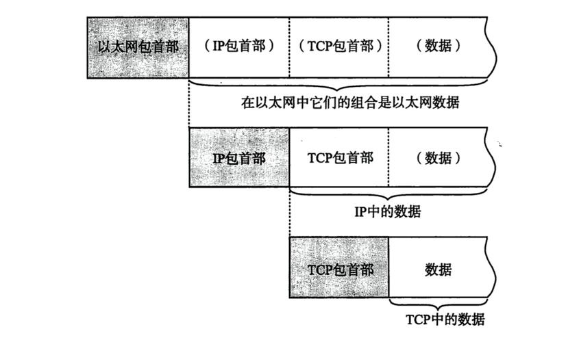 传输术语（传输是啥意思）-图2