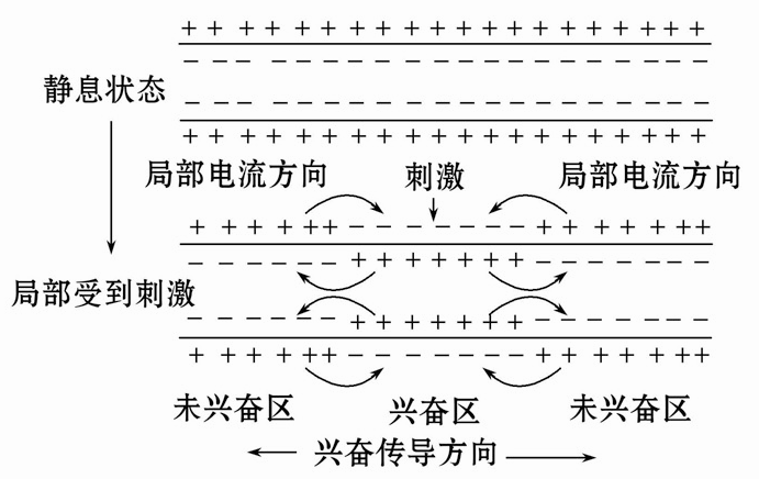 电流传输密勒效应（传导电流密度计算公式）-图2