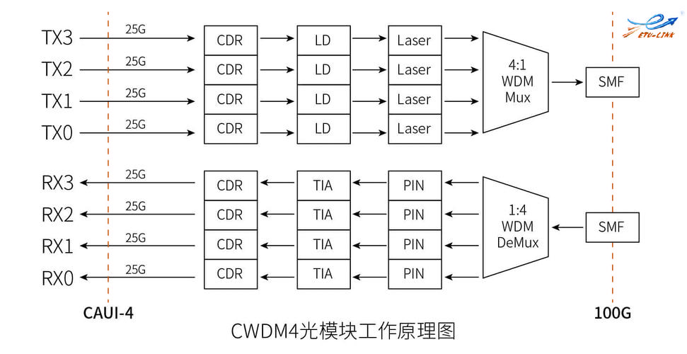 光模块传输速率怎么计算（光模块的传输速率）-图2