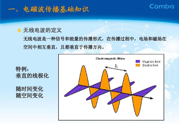 鞭状天线传输效率（鞭状天线的极化方式）-图1