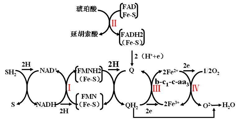 传输链设计（链传递的一般步骤）-图3