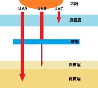 紫外线传输（紫外线可以穿透哪些东西）-图2