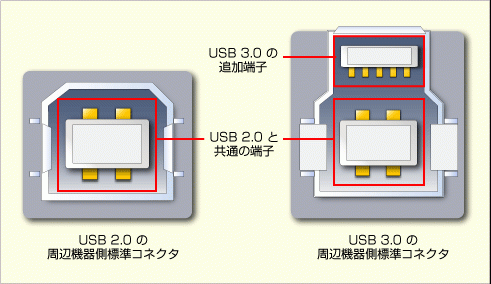 USB数据传输在哪（usb数据传输接口是什么意思）-图2