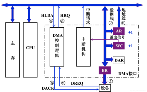 dma的传输过程（dma的传送方式有哪几种）