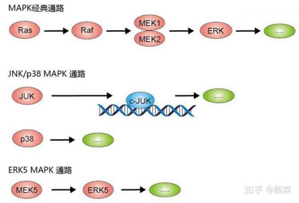 信号传输路径（信号传输路径AR模型）-图2