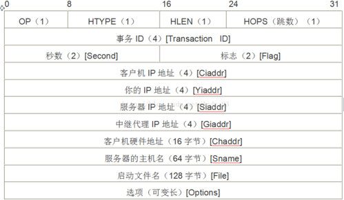 DHCP协议的传输协议（dhcp协议内容）-图3