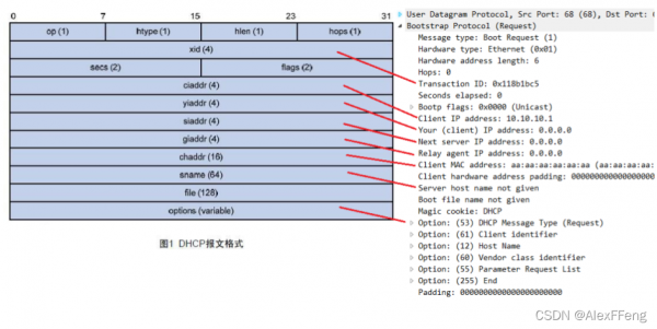 DHCP协议的传输协议（dhcp协议内容）-图2