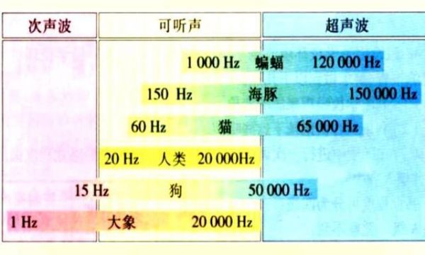 声波传输成功率（声波传播速度是多少）-图1